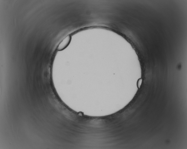 X0000115741268200912241640