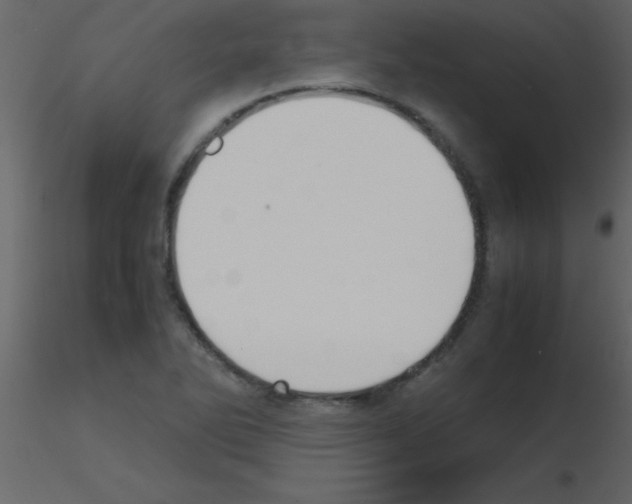 X0000115741270200912241639