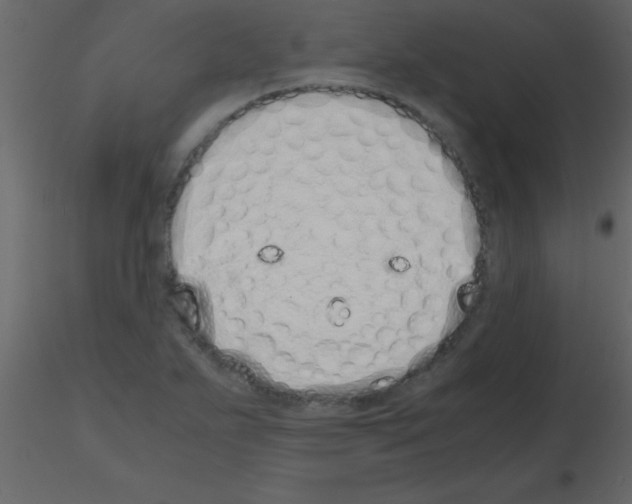 X0000115741271200912241639