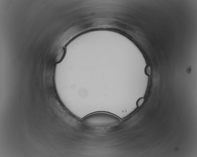 X0000115741273200912241639