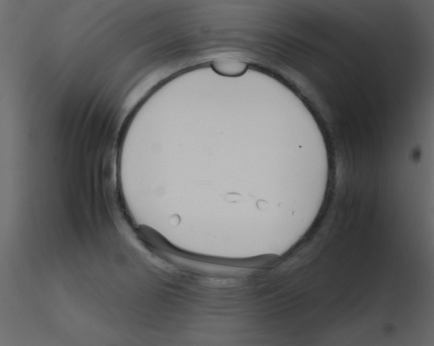 X0000115741274200912241639