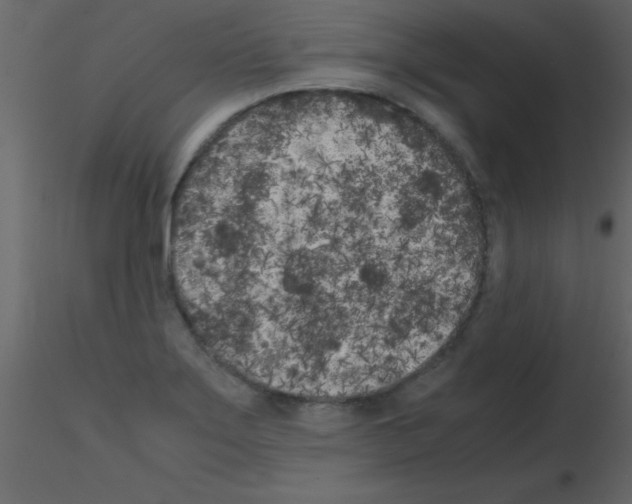 X0000115741275200912241639