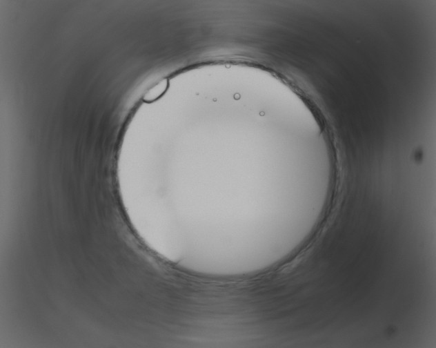 X0000115741277200912241639