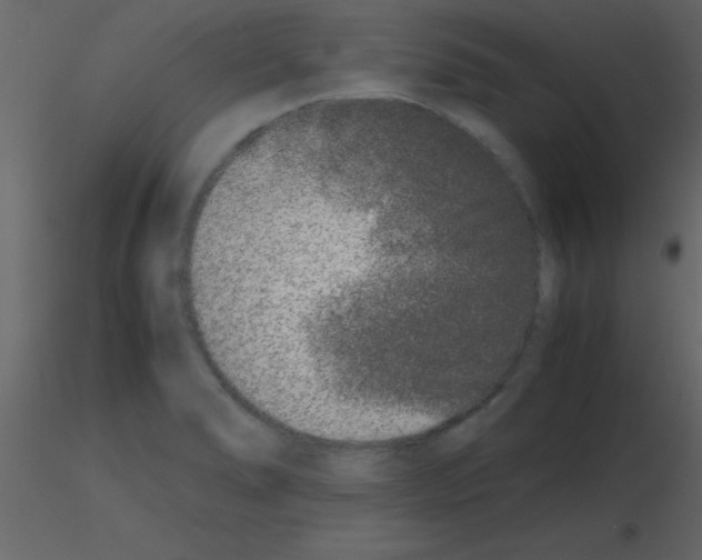 X0000115741278200912241639