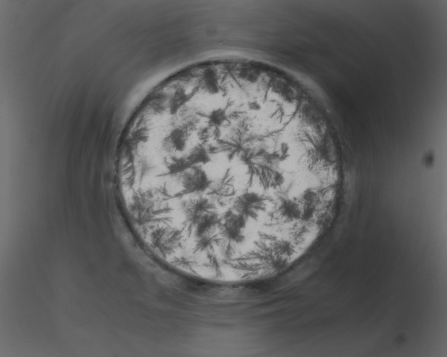 X0000115741279200912241639