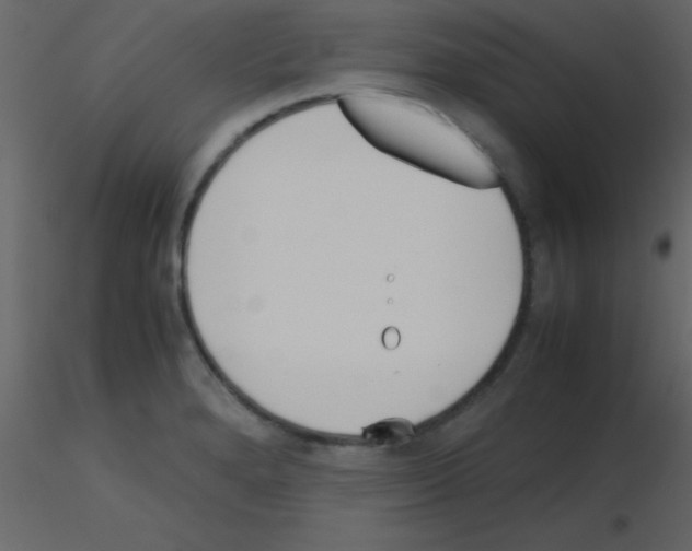 X0000115741280200912241639