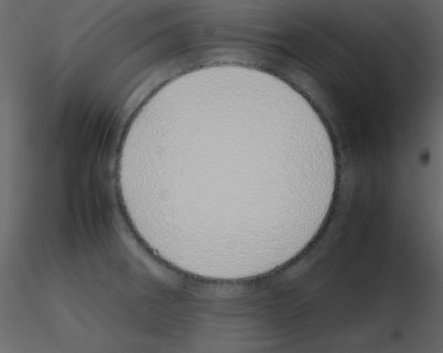 X0000115741282200912241639