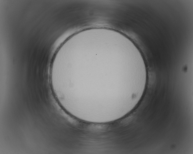 X0000115741286200912241639