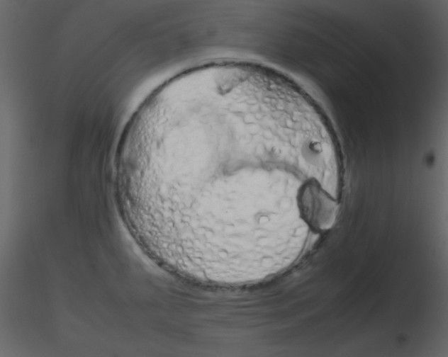 X0000115741287200912241639