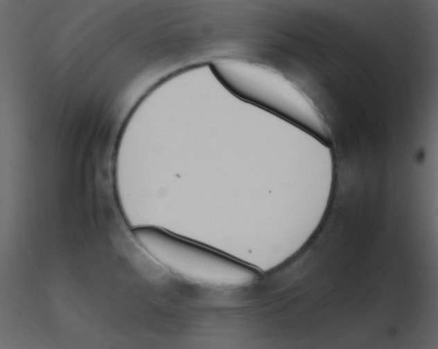 X0000115741288200912241639