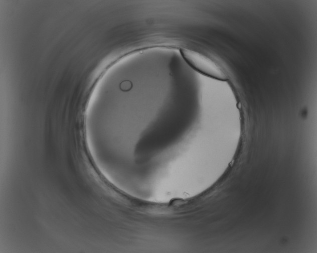 X0000115741291200912241639