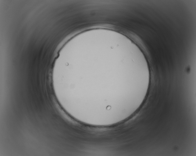 X0000115741292200912241639