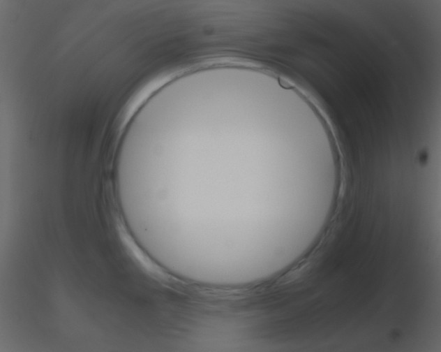 X0000115741293200912241639