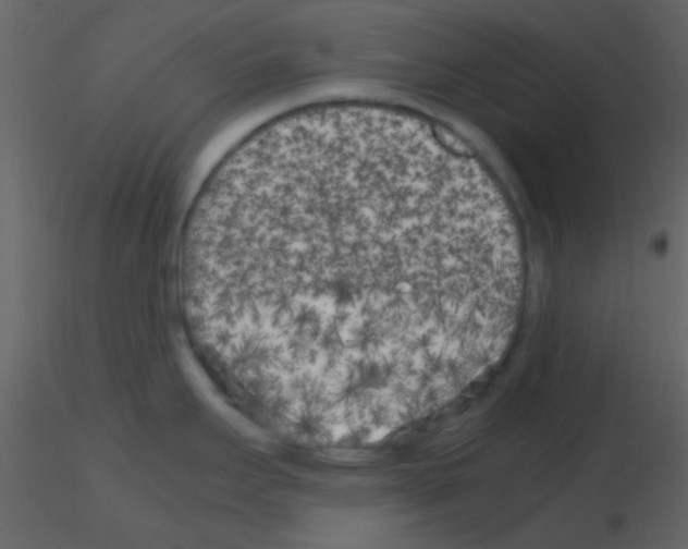 X0000115741295200912241639