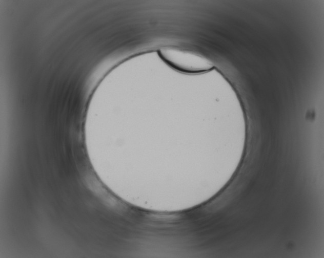 X0000115741296200912241639