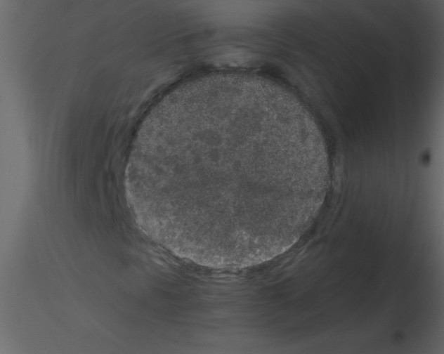 X0000115741297200912241638