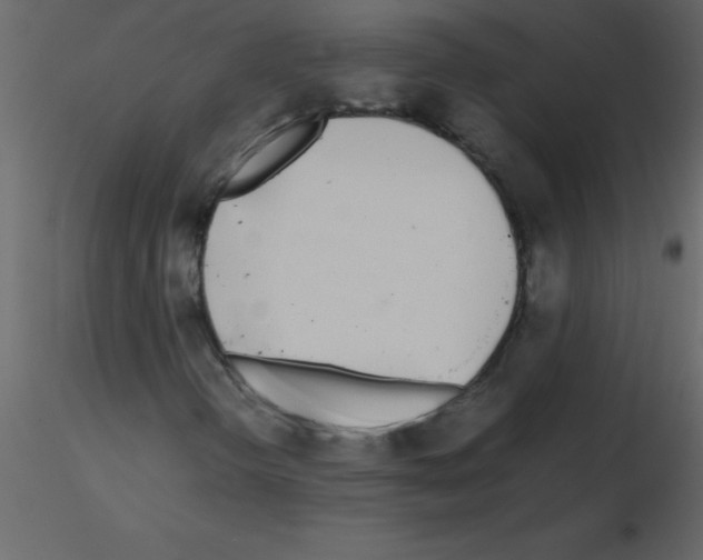 X0000115741298200912241638