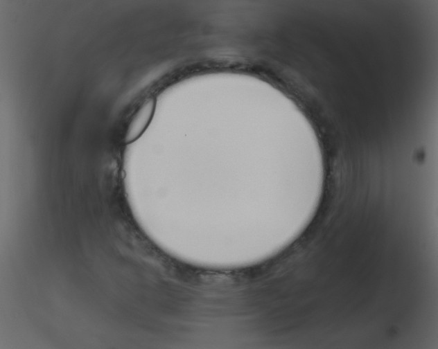 X0000115741302200912241639