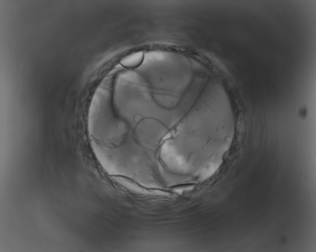 X0000115741303200912241639