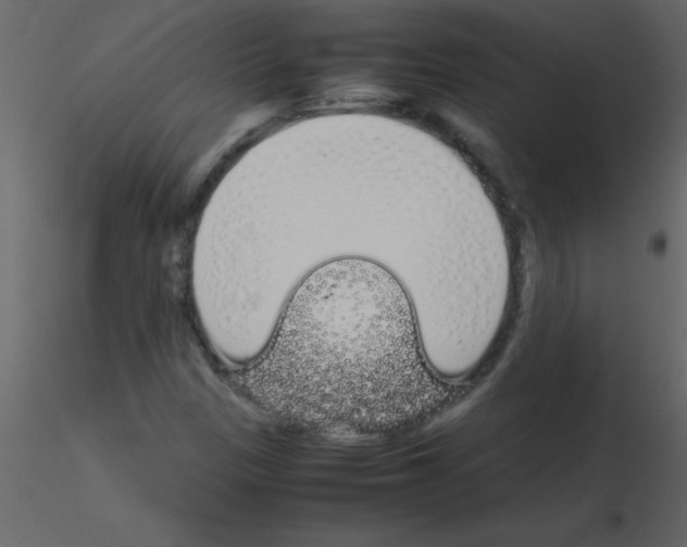 X0000115741305200912241639