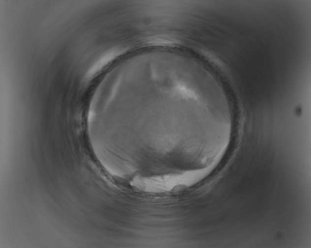 X0000115741306200912241639