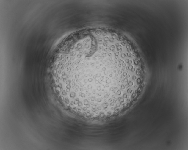 X0000115741307200912241639