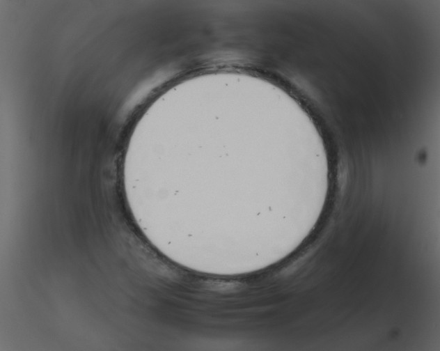 X0000115741309200912241639