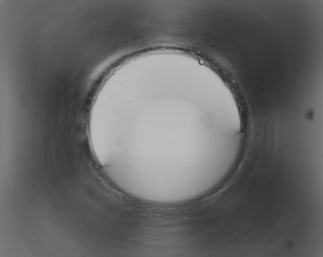 X0000115741310200912241639