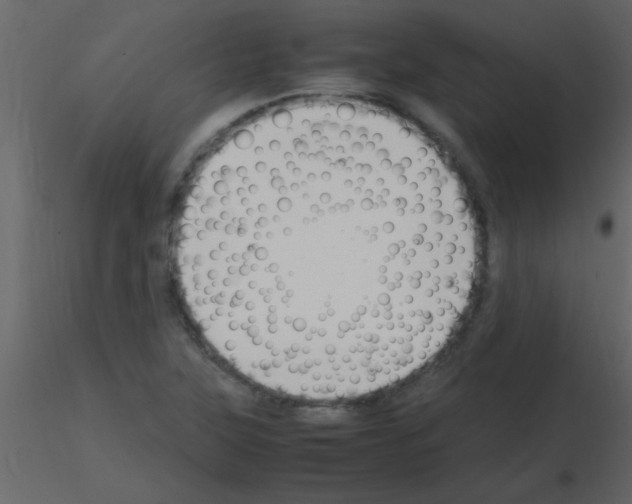 X0000115741315200912241639