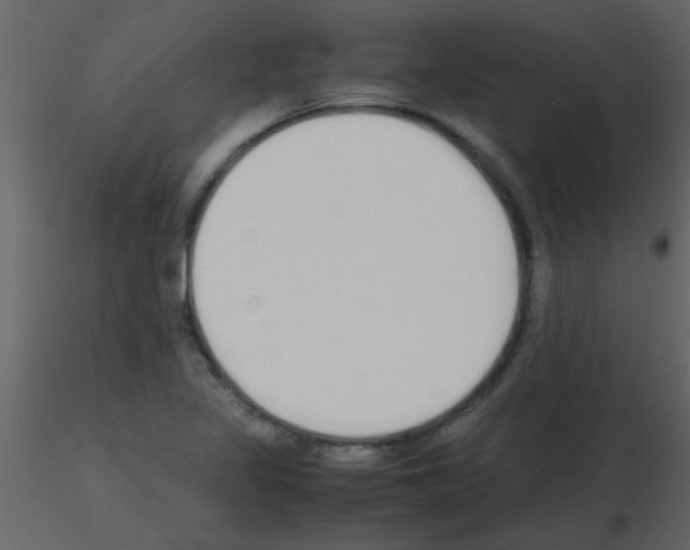 X0000115741317200912241639