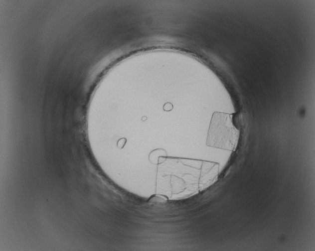 X0000115741318200912241639