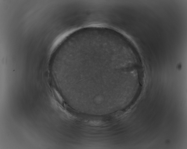 X0000115741319200912241639