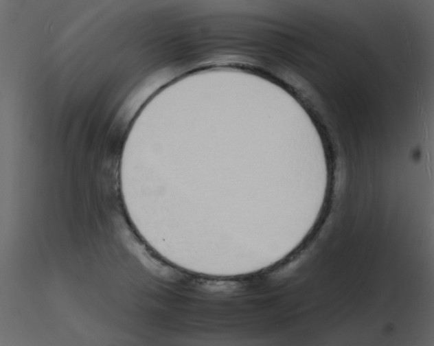 X0000115741321200912241639