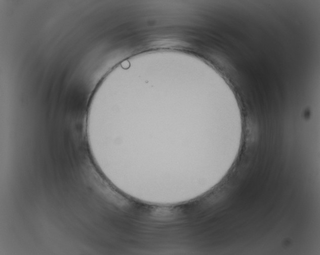 X0000115741322200912241639