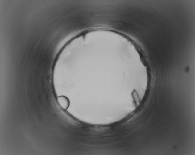 X0000115741325200912241639