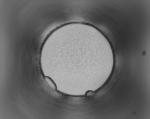 X0000115741326200912241639