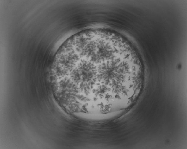 X0000115741329200912241639