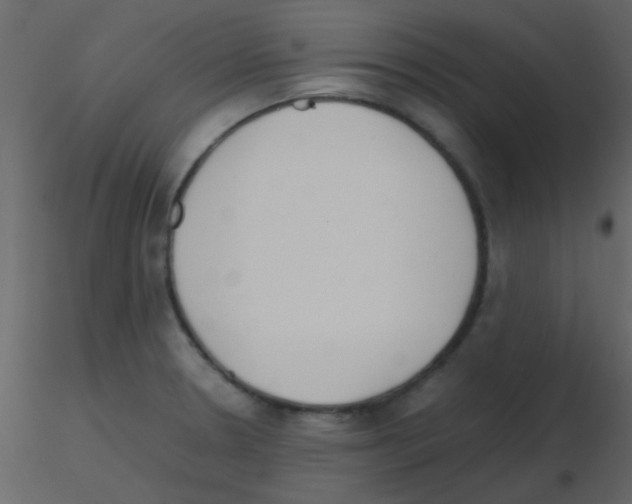 X0000115741330200912241639