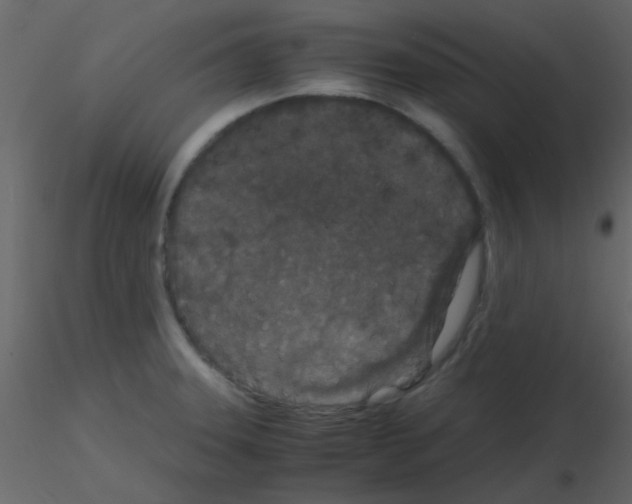 X0000115741331200912241639