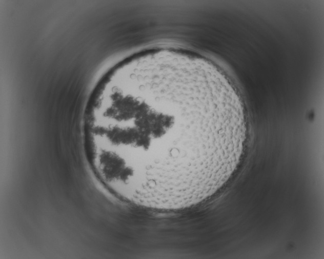 X0000115741335200912241639