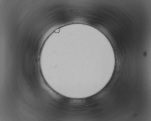 X0000115741339200912241639