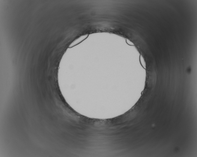 X0000115741345200912241638