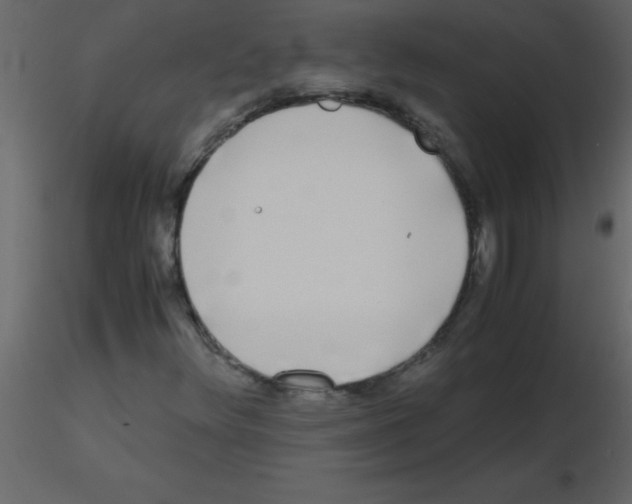 X0000115741348200912241638