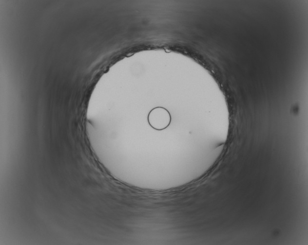 X0000115741349200912241638