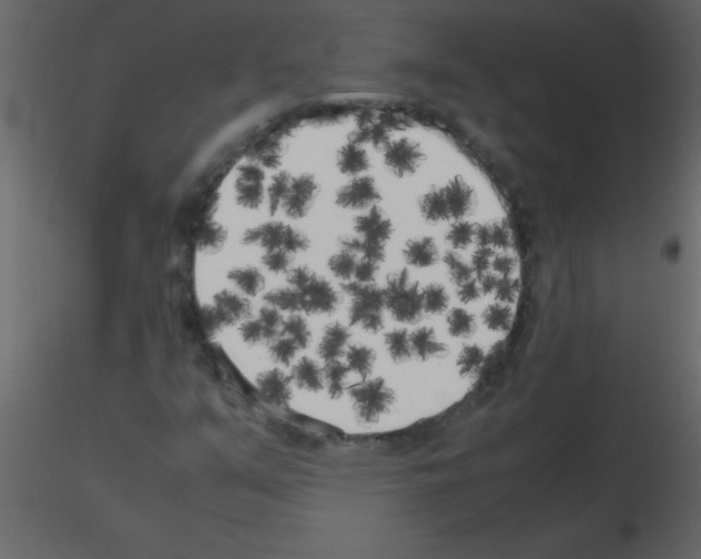 X0000115741351200912241638