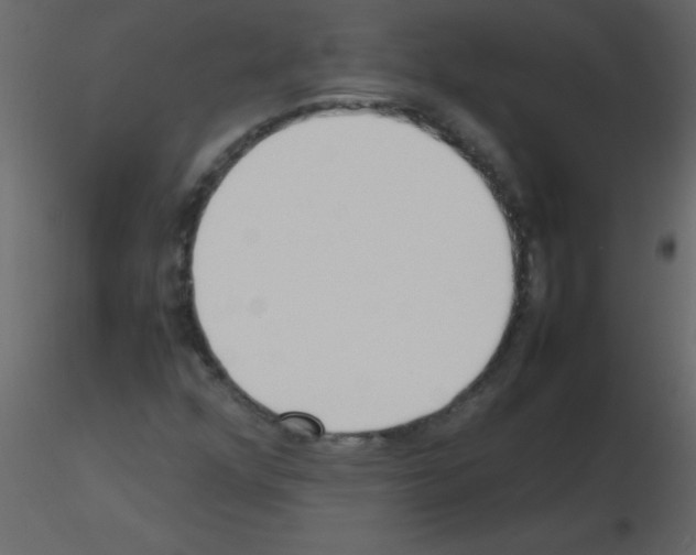 X0000115741352200912241638