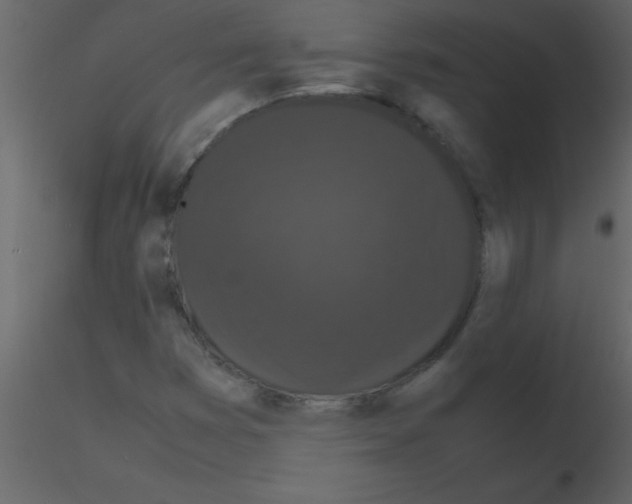 X0000115741353200912241638