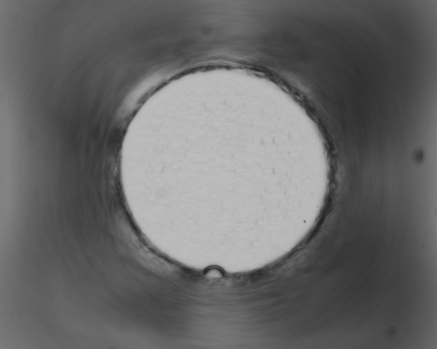 X0000115741355200912241638