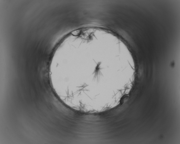 X0000115741356200912241638