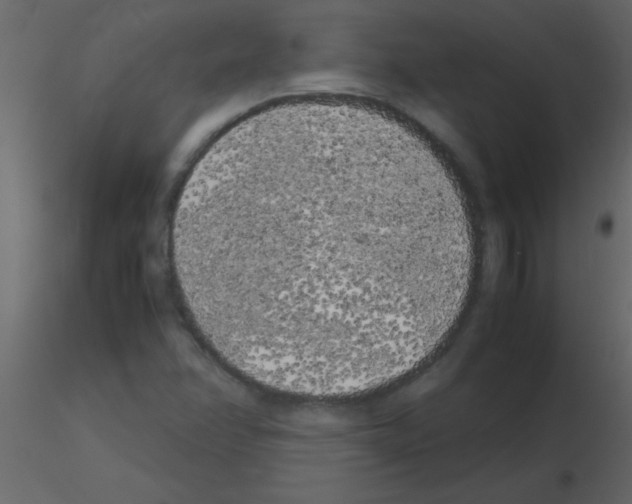 X0000115741358200912241638